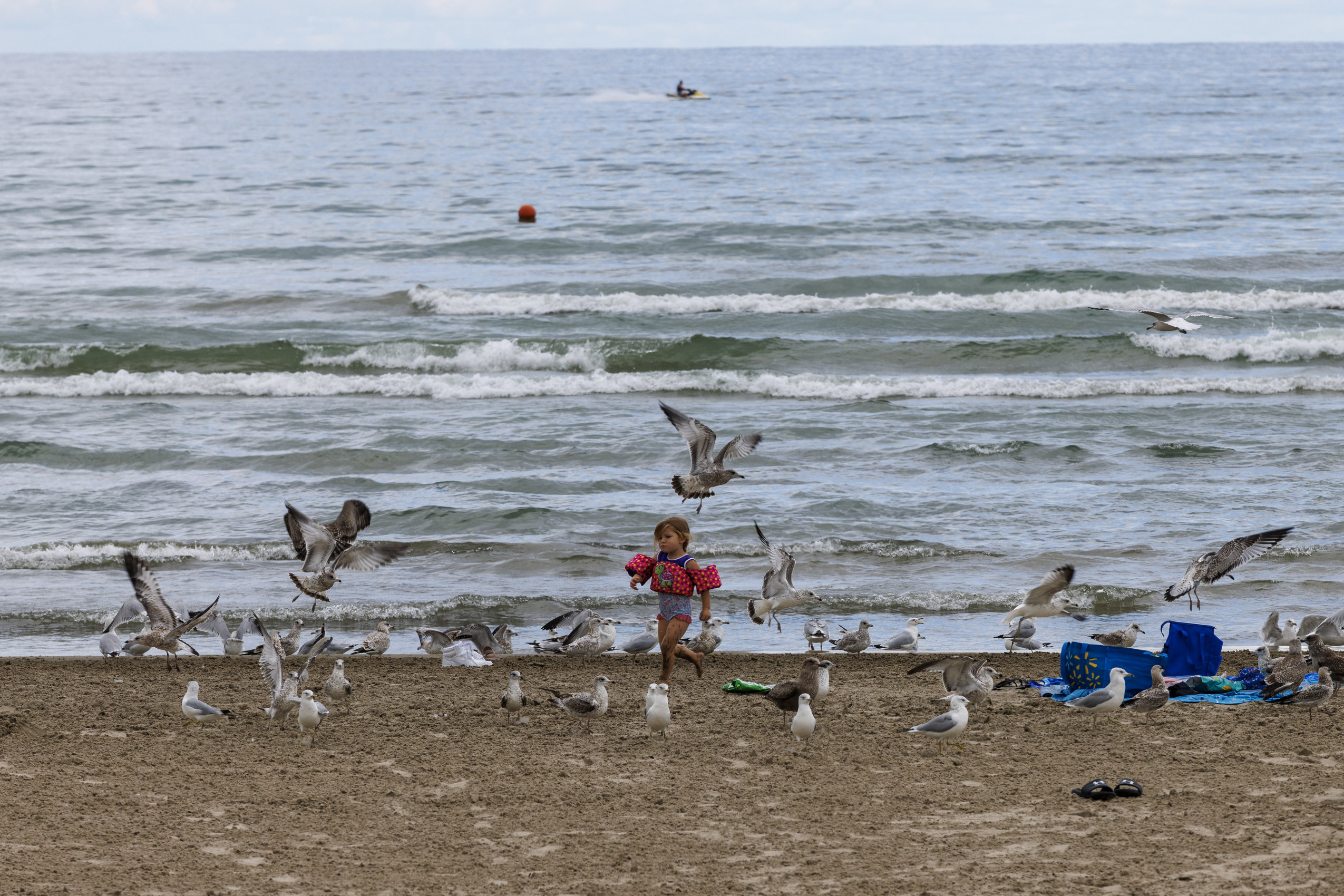 A girl with water wings runs amid dozens of seagulls on Wasaga Beach, as waves roll into shore behind her.
