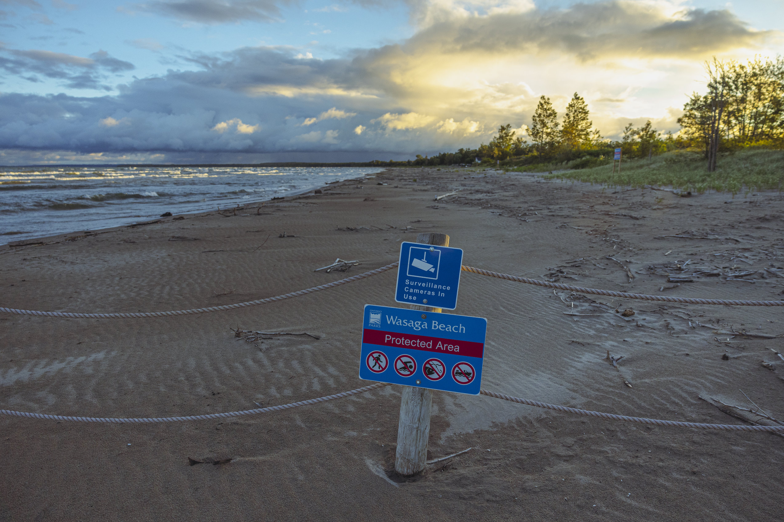 A rope barrier demarcates an area of Wasaga Beach that is protected to provide habitat to piping plovers. A sign alerts visitors that activities like swimming, hiking and fishing are not allowed.
