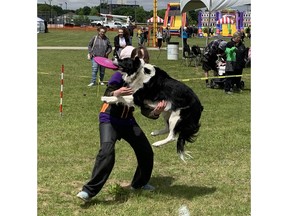 dog