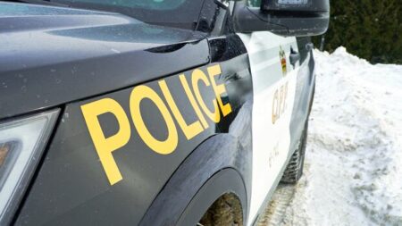 Ottawa Officer Dies in Highway 7 Collision