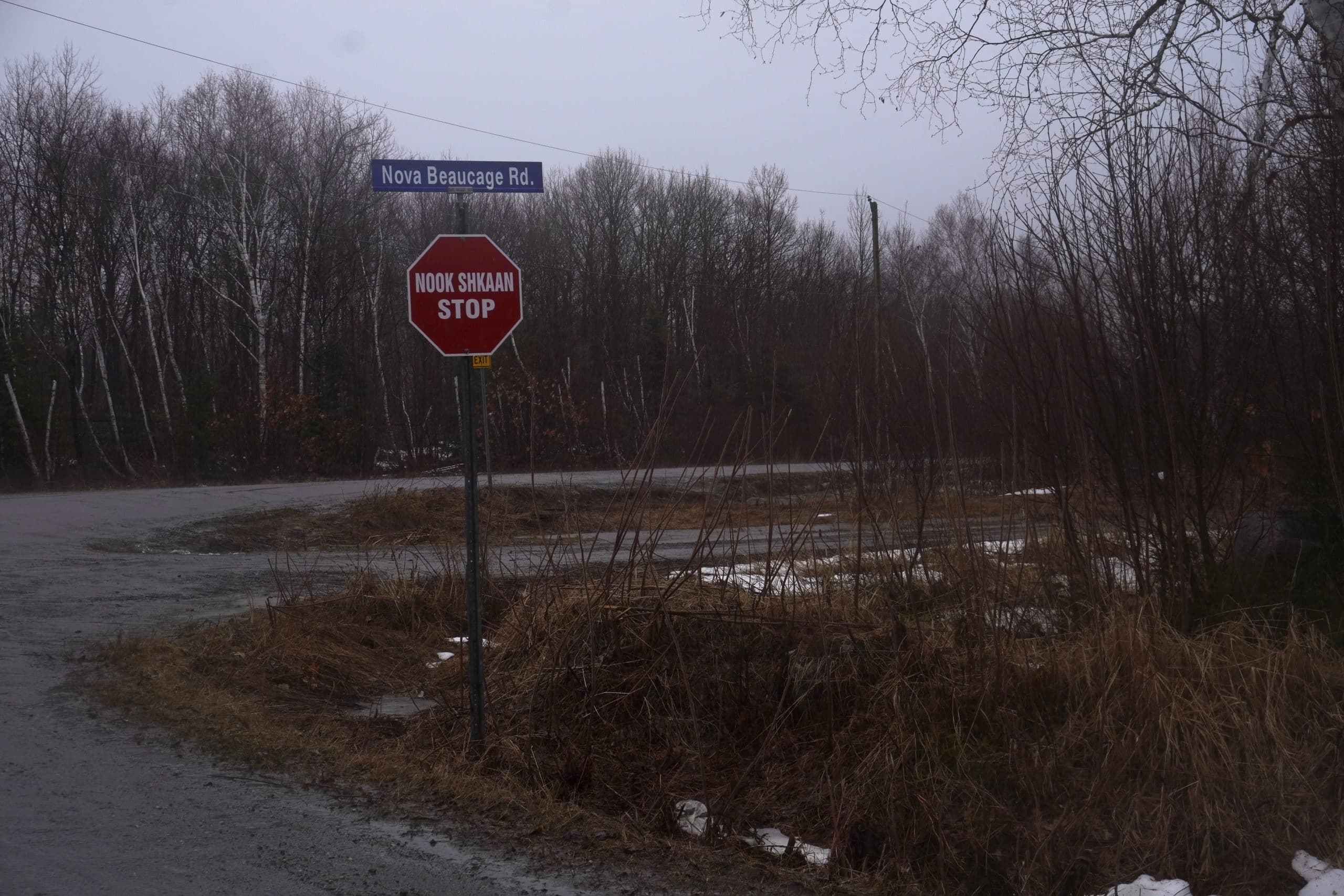 On a grey cloudy day, a blue street sign reads 