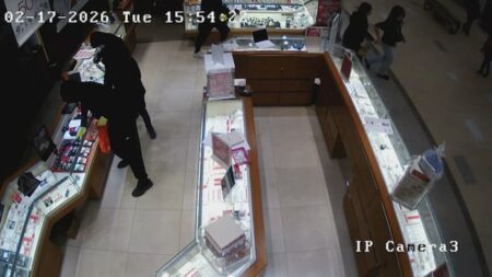 Arrests Made in Smash-and-Grab Crime Spree
