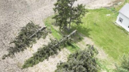Second Tornado Confirmed in London, Ontario