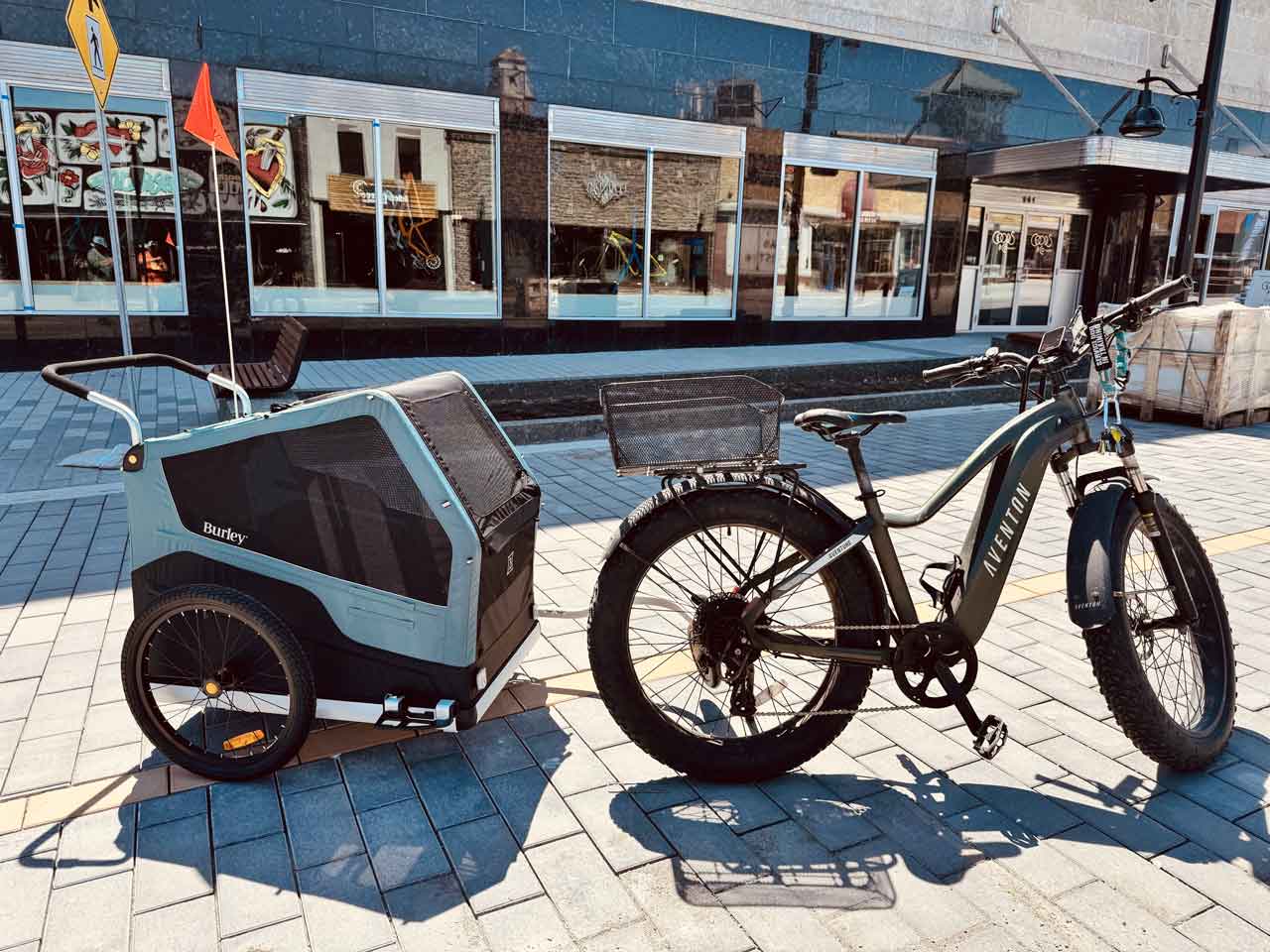 Aventon E-Bike with Burley Bark Ranger XL so that the big dog can ride too