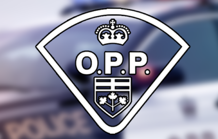 Authorities looking for federal offender with ties to southwestern Ontario
