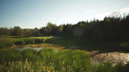 A Hidden Gem for Camping Near Lake Ontario A Hidden Gem for Camping Near Lake Ontario