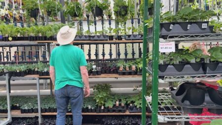 New Plant Hardiness Map Gives Gardeners Fresh Possibilities New Plant Hardiness Map Gives Gardeners Fresh Possibilities