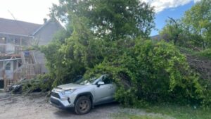 Communities in eastern Ontario, western Quebec lose power following strong winds Friday night