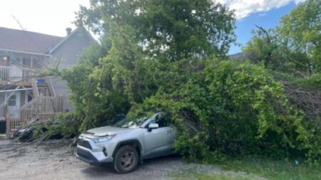 Strong Winds Cause Power Outages in Ontario and Quebec