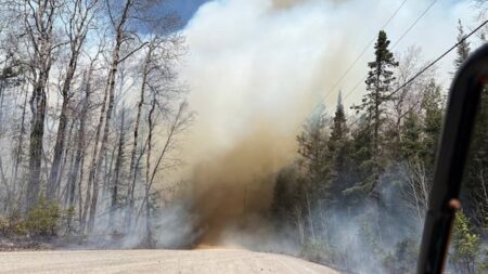 Wildfire Relief in Northwestern Ontario Thanks to Rain