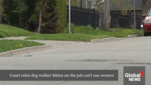 Dog Walker’s Lawsuit Dismissed After Injury in Oshawa