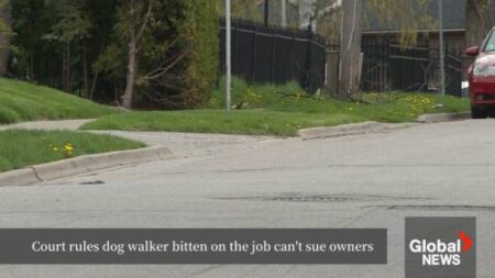 Dog Walker’s Lawsuit Dismissed After Injury in Oshawa