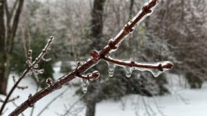 Icy Conditions Likely Tonight in Hamilton and Surrounding Areas