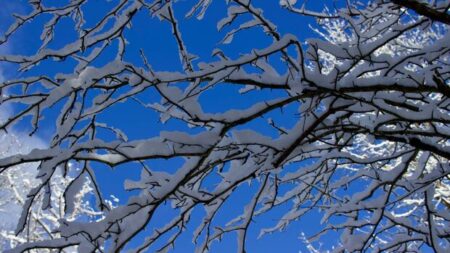 Cold Weather Alerts for Hamilton and Surrounding Areas
