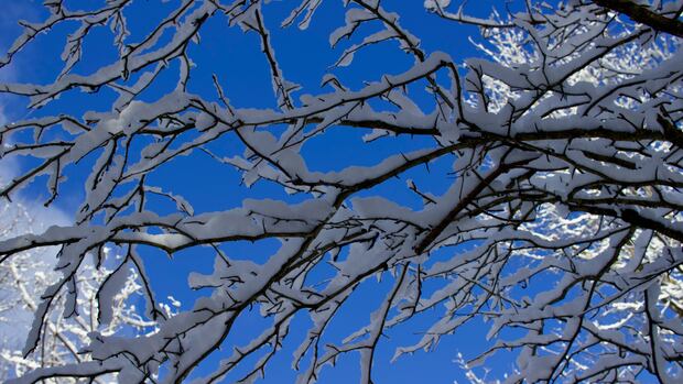 Cold Weather Alerts for Hamilton and Surrounding Areas Cold Weather Alerts for Hamilton and Surrounding Areas