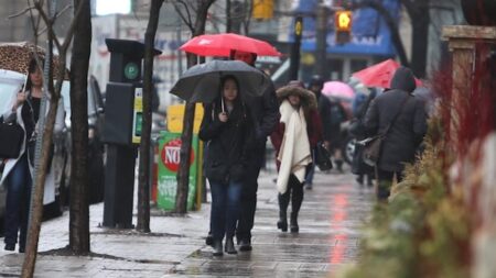 Rainy Weekend Ahead for the Greater Toronto Area Rainy Weekend Ahead for the Greater Toronto Area
