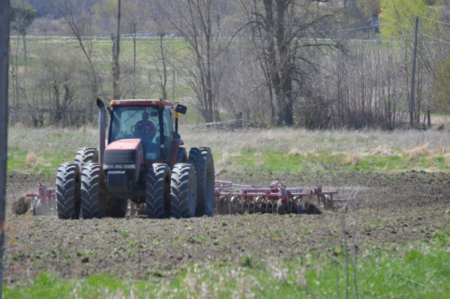 Spring Planting Delays in Ottawa Valley