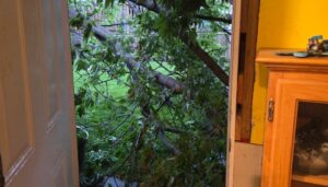 Cleanup Efforts Underway After Storm Hits Southern Ontario