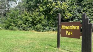 London councillors say no to exploring how Attawandaron Park neighbours can keep their backyards on city land
