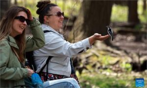 Lynde Shores Conservation Area attracts birdwatchers in Ontario, Canada