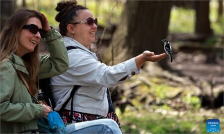 Birdwatching at Lynde Shores Conservation Area