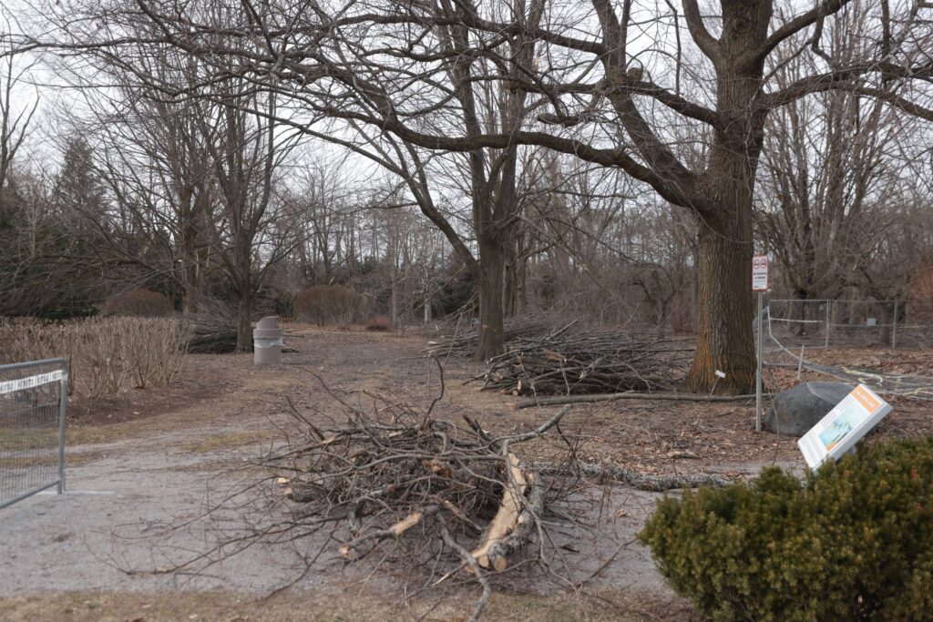 Tree Accident Claims Life of 78-Year-Old Man Tree Accident Claims Life of 78-Year-Old Man