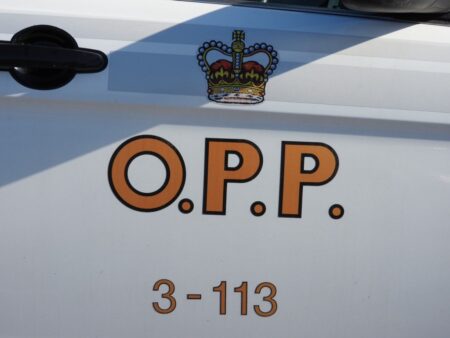 Tragic Incident at Perth Park