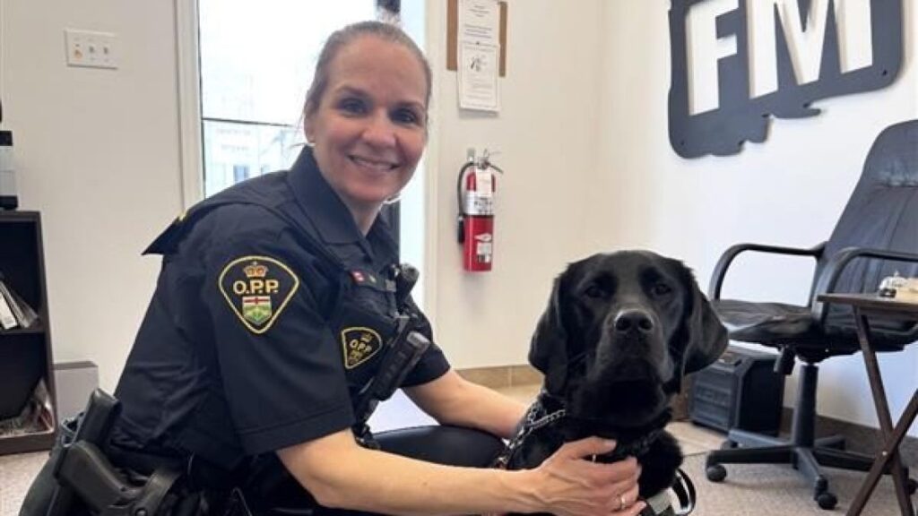 OPP Wellness Dog Ranger Enhances Mental Health in Ontario