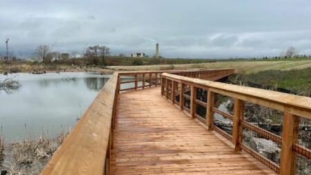 Mississauga’s New Green Space Revives Waterfront Area