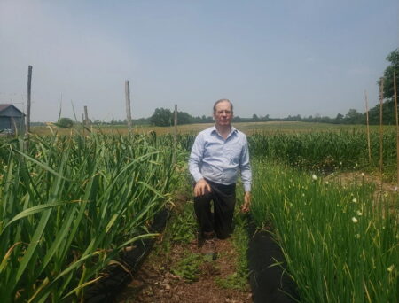 Pickering Residents Face New Threat to Farmland Pickering Residents Face New Threat to Farmland