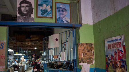US Aims to Shift Cuban Politics Amid €86m Aid Offer