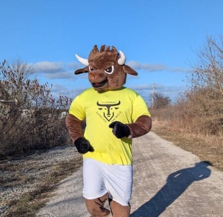 Bulls Run Again This Weekend in Tillsonburg Bulls Run Again This Weekend in Tillsonburg