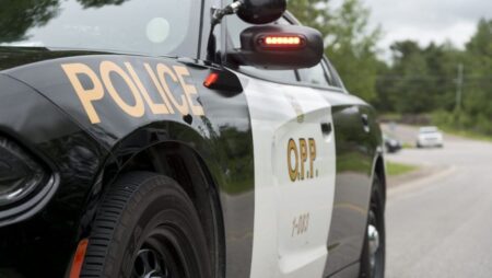 Teens Charged in Stolen Car Case Near Guelph