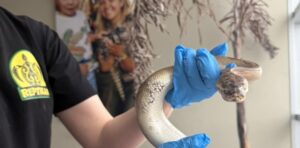 Snakes abandoned outside Whitby reptile zoo