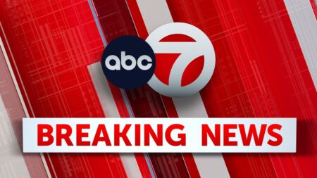 Person Shot by Secret Service After Firing Near White House