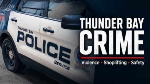 Crime Trends in Thunder Bay: A Closer Look Crime Trends in Thunder Bay: A Closer Look