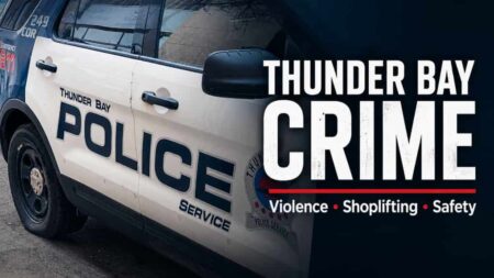 Crime Trends in Thunder Bay: A Closer Look