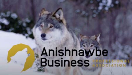 Upcoming Webinar on Indigenous Wealth Management Strategies