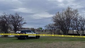 Police Responded to Nearly 1,000 Calls in Thunder Bay