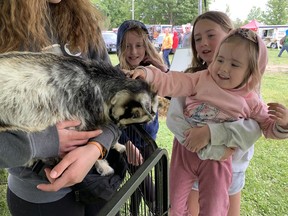 Tillsonburg’s Taste of Summer was so cold…… Tillsonburg’s Taste of Summer was so cold……