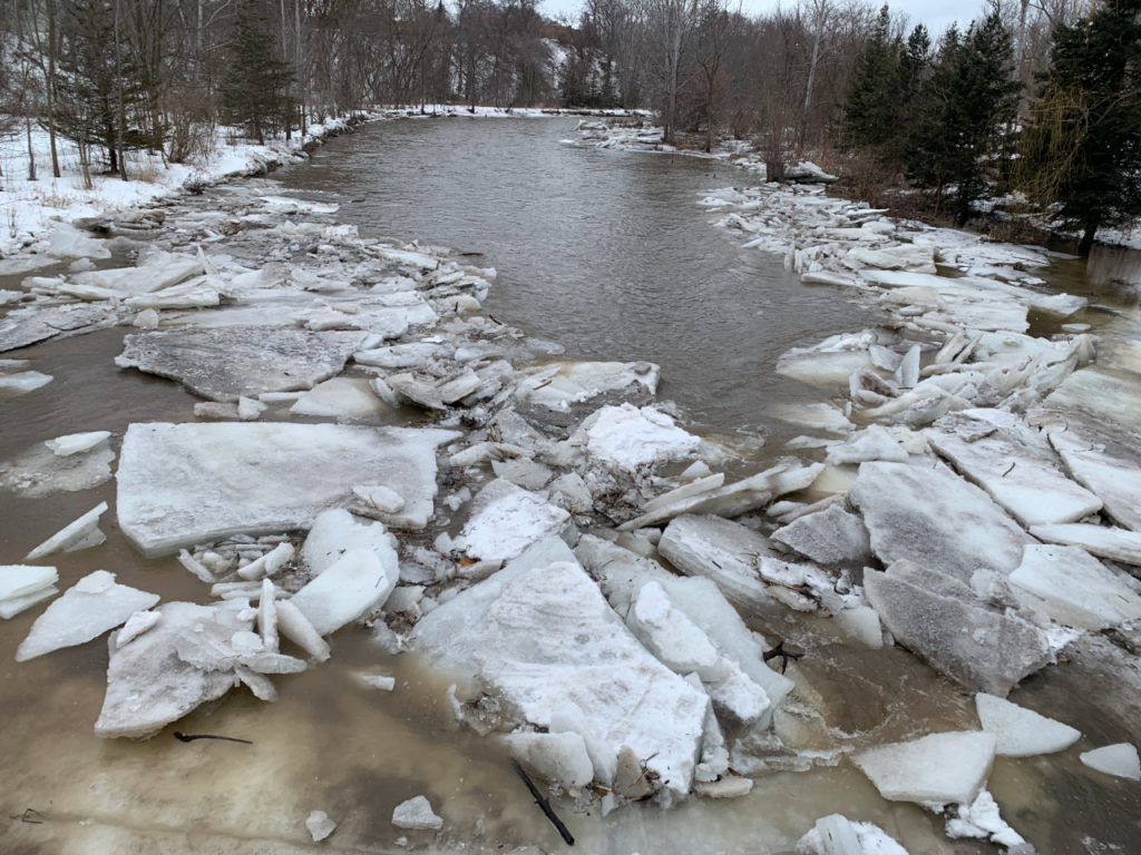 Essential Info for Residents of Mississauga