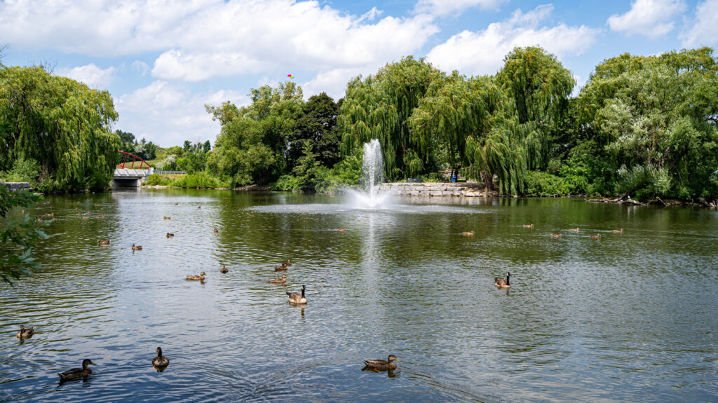 Explore Brampton: Ontario’s Hidden Gem with Parks and Flavorful Food