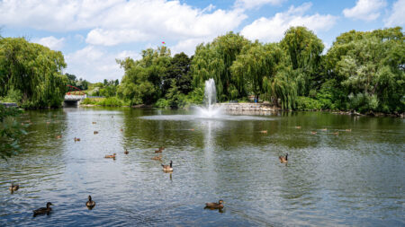 Explore Brampton: Ontario’s Hidden Gem with Parks and Flavorful Food