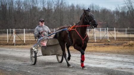 Closure of Rideau Carleton Raceway Hits Local Horse Owners Hard