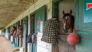 We’ll ‘start letting people go,’ racetrack says if Ontario funding doesn’t come through soon