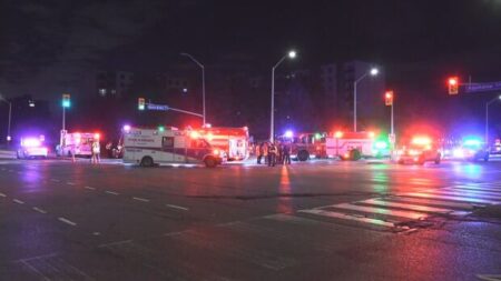Woman Faces Charges After Collision in Mississauga