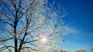 Frost Alert for Eastern Ontario and Western Quebec