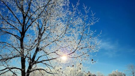 Frost Alert for Eastern Ontario and Western Quebec