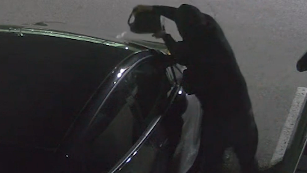 Vaughan Car Dealership Arson Suspect Sought by Police