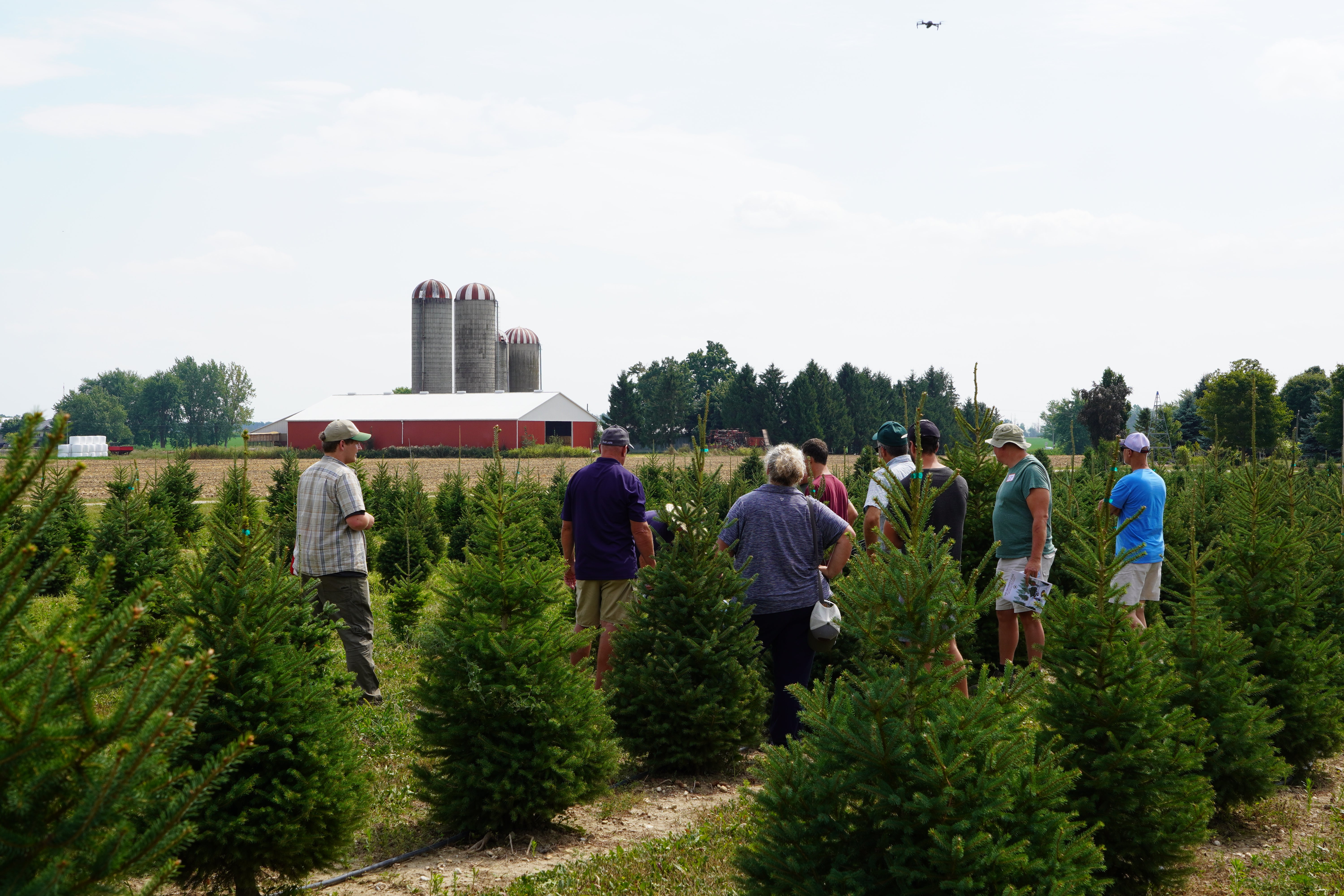 Farmers gathered around trees.